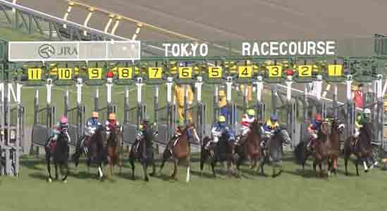 青葉賞レース